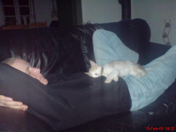 Huskat Hubert billede 12