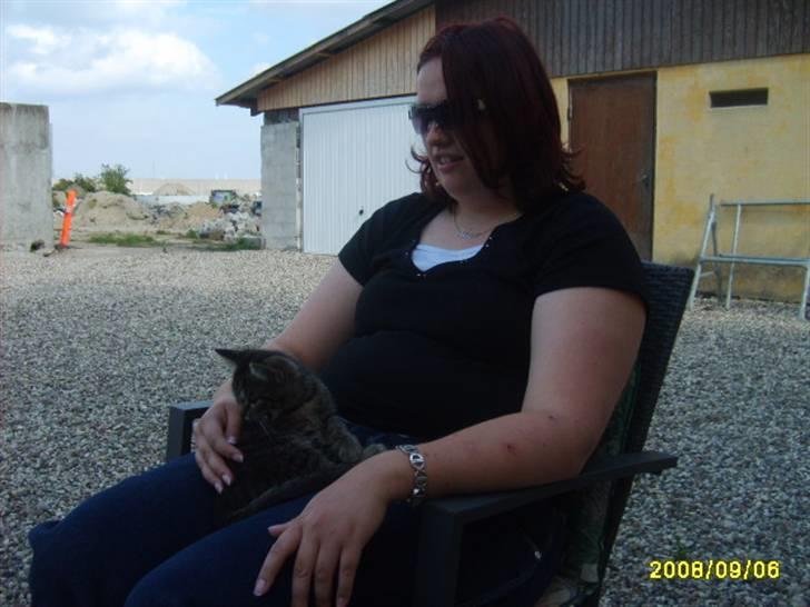 Huskat Stor mis (RIP) - Billede 4 af stor mis lægge ved min ejer billede 4