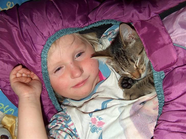 Huskat Solaima - Jeg skulle bare få Freja til at sove... :¤) billede 3