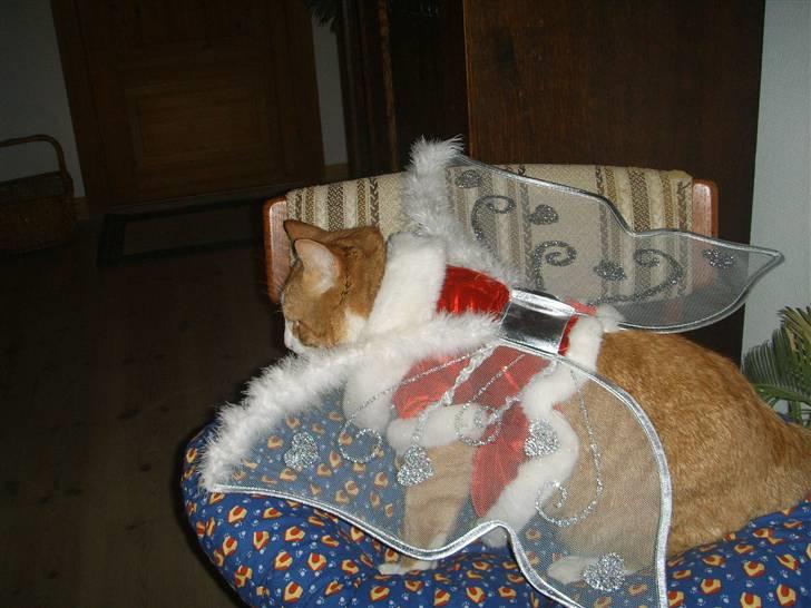 Huskat Prinsesse Kaj billede 2