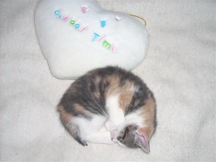 Blanding af racer Baby Plet <3 - 20-/NYT/ Sweet Time that is! ;x billede 20