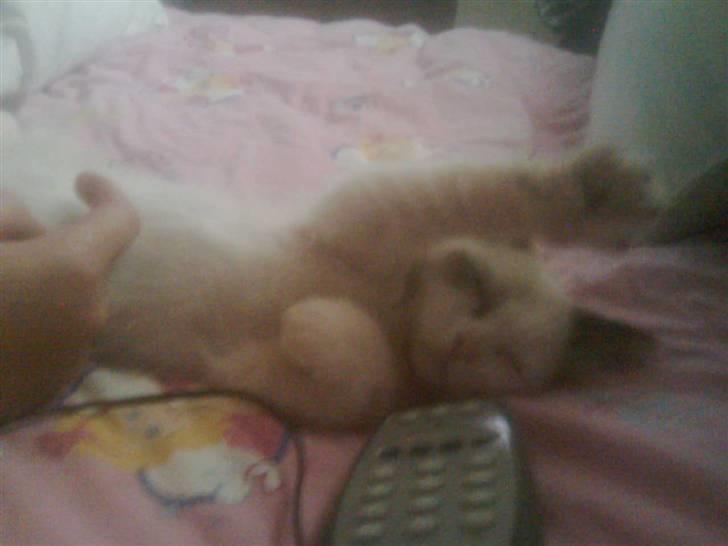 Ragdoll Den maskerede hævner - Glad killing billede 19