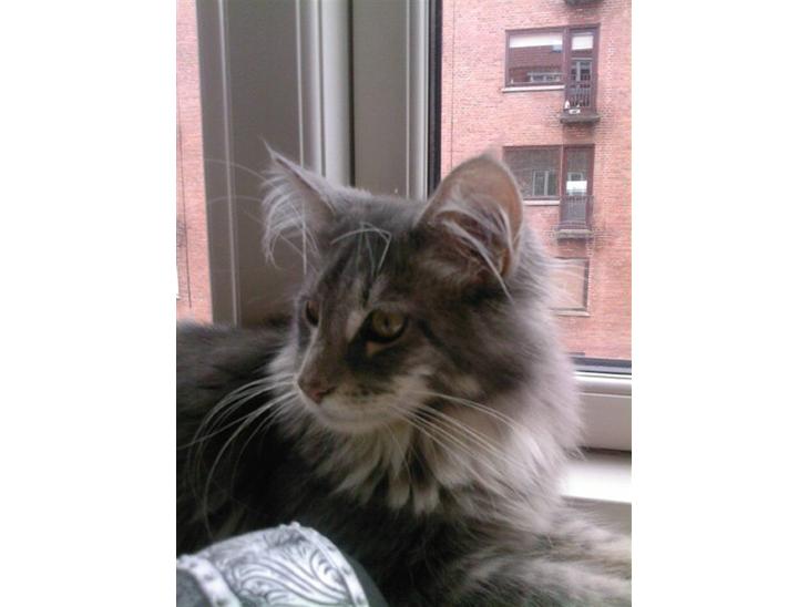 {{currentPhoto.altText}} billede {{currentPhoto.number}}