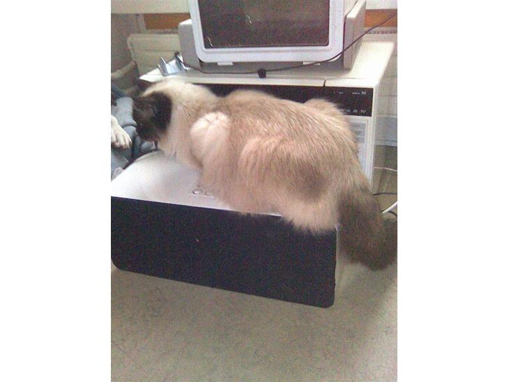 {{currentPhoto.altText}} billede {{currentPhoto.number}}