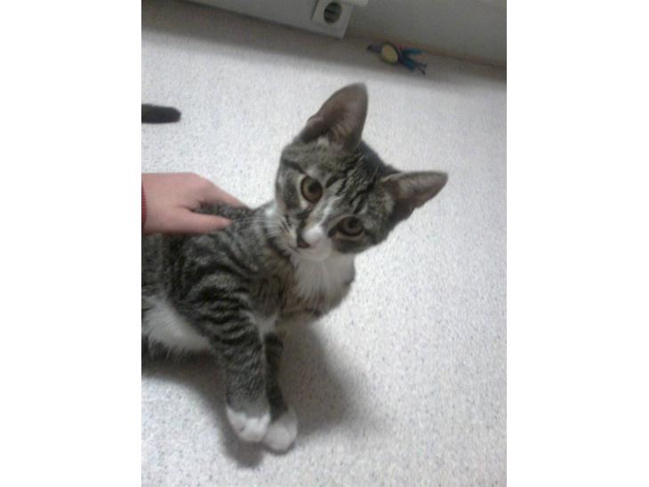 {{currentPhoto.altText}} billede {{currentPhoto.number}}