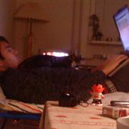 Huskat Oskar gustav hermann holm