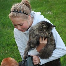 Blanding af racer | Gismo |