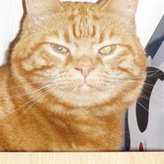 Europé CH DK Bøgelunds Krummelin