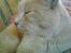 Blanding af racer Cimba ;) R.I.P. ;(