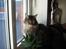 Huskat Mis