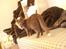 Huskat Baby R.I.P