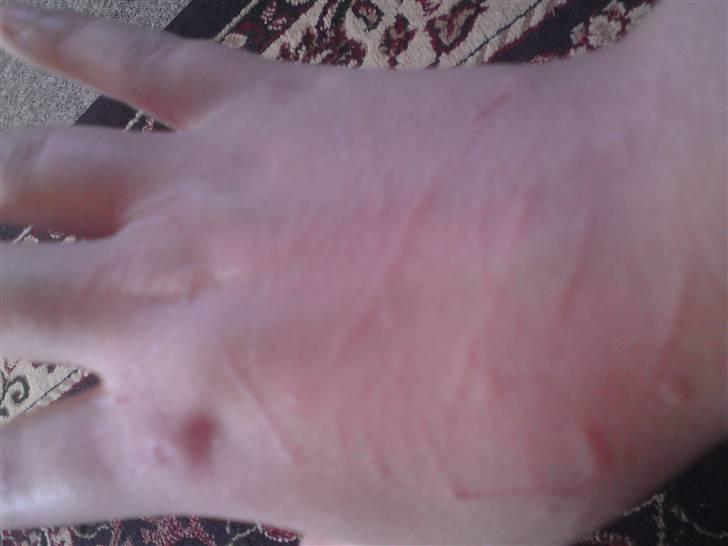 Huskat Elfenben - Av av min kat vil lege hele tiden, og jeg kan ikke lade vær´ :) billede 5