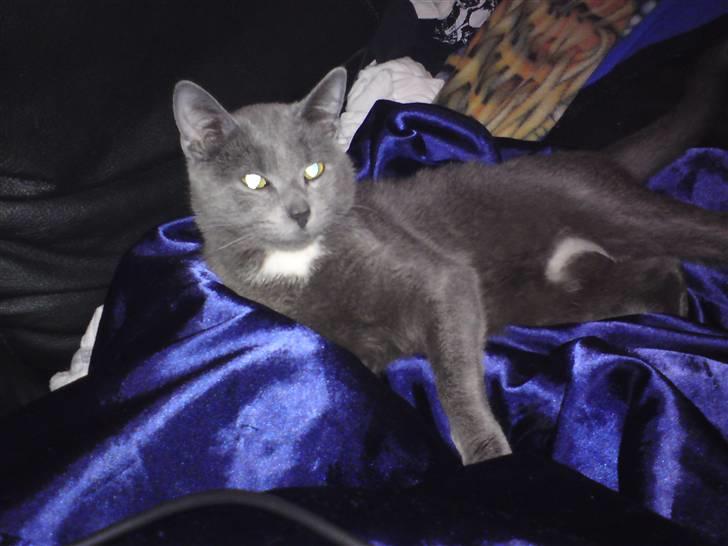 Blanding af racer Basse - Så slapper jeg af igen billede 5