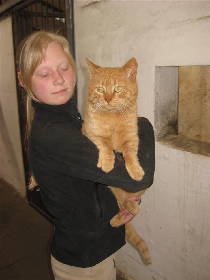 Huskat                  Allan <3 - Anna, jeg skal lige se hvad det der er for en ting.. billede 9