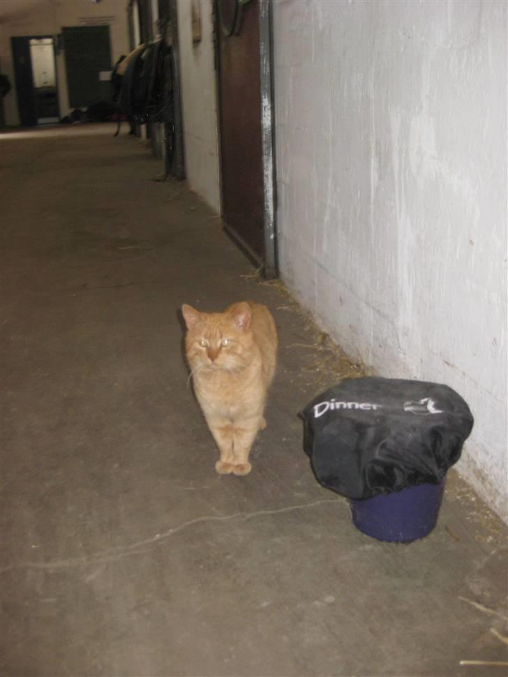 Huskat                  Allan <3 - sees snart igen ik´? :) husk at smide en bedømmelse.. billede 20