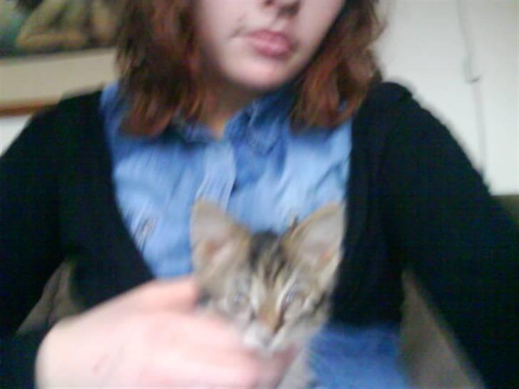 Huskat Mickey billede 2