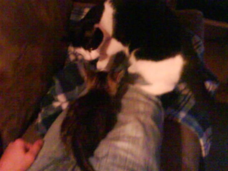 Huskat Minnie billede 9