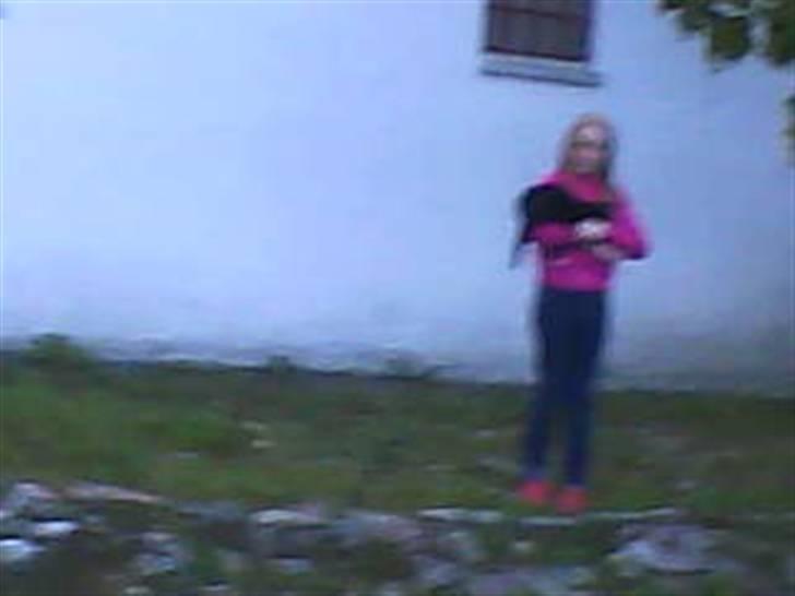 Blanding af racer Donna - Cecilie står med Donna;) (Undskyld kvaliteten, taget med mobil) billede 4