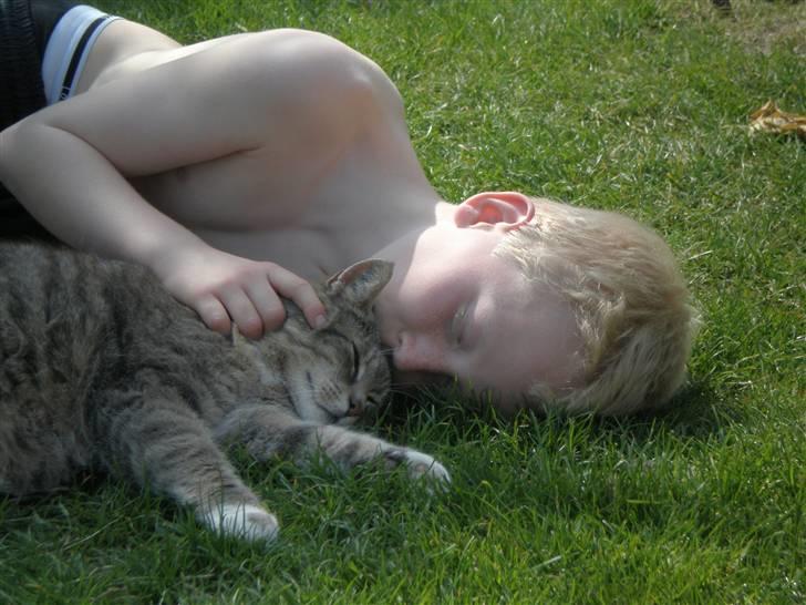 Huskat Charlie - Sebastian og Charlie hygger i det kølige sommergræs :) billede 8