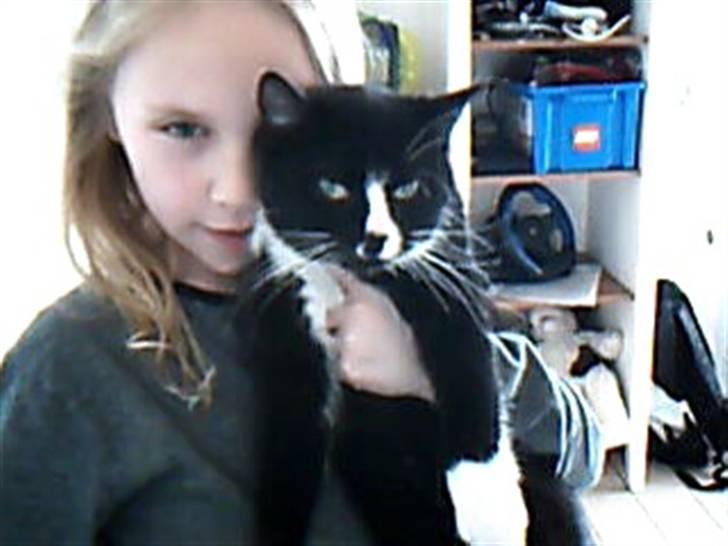 Huskat alma billede 1