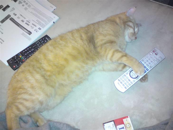 Huskat Viktor Borge - Ikke alle film er lige spændende... billede 8