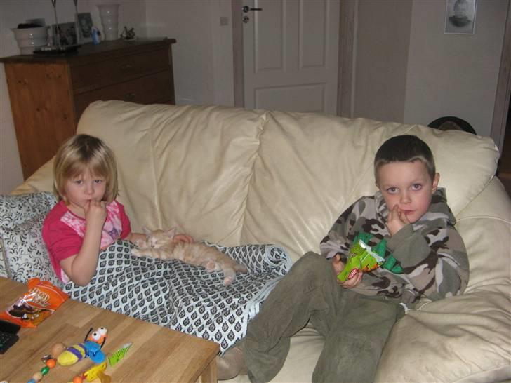 Blanding af racer Mille - Mille, Lucas og Lærke :-) billede 7