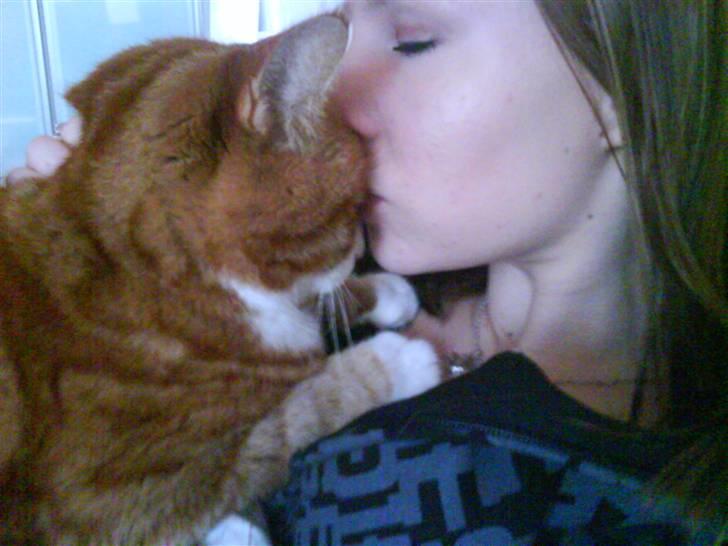 Blanding af racer Stalin R.I.P billede 5