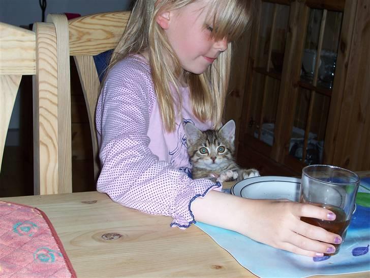 Blanding af racer Topper † - Fordi jeg var grim, men du var flot :/ billede 4