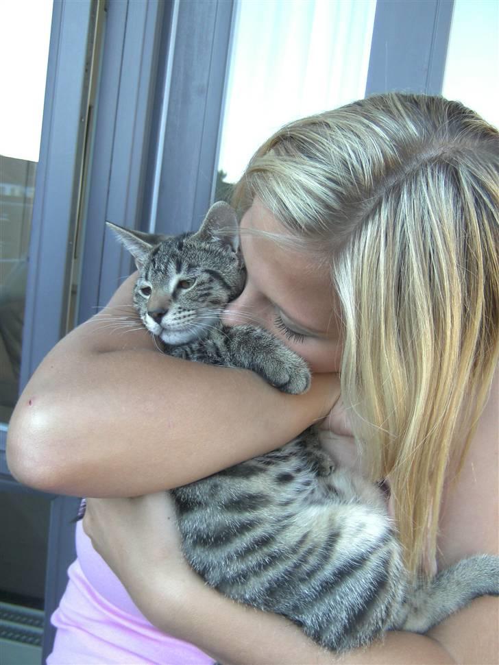 Blanding af racer Chico billede 14