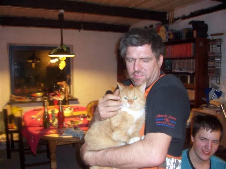 Huskat pav billede 18