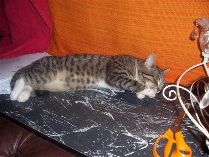 Huskat mille billede 3