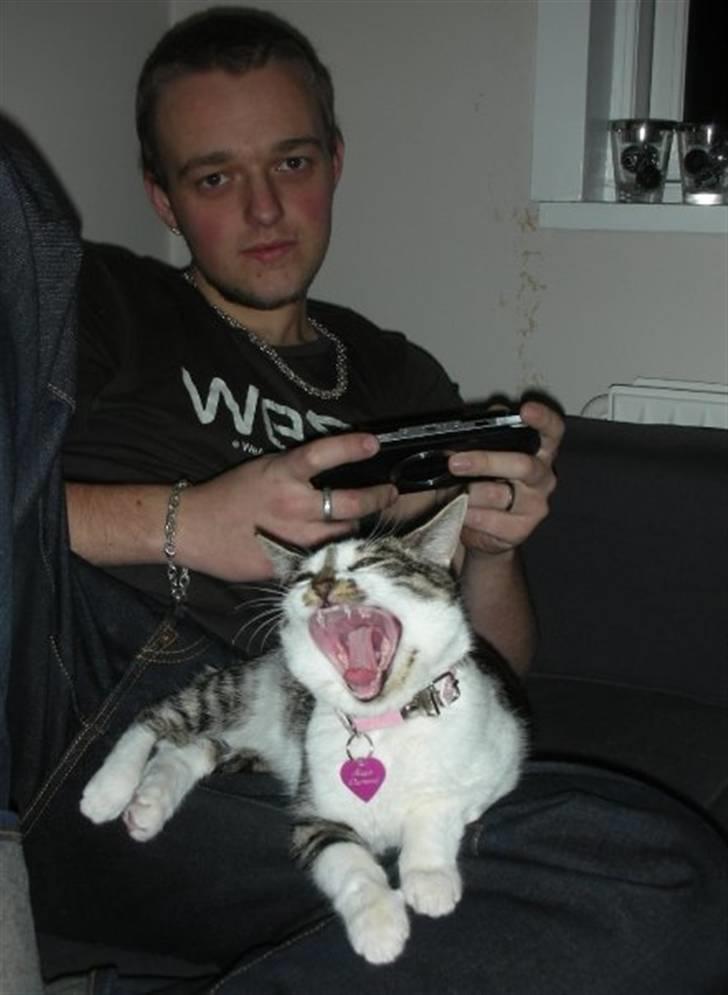 Blanding af racer Maggie Diamond <3 billede 7