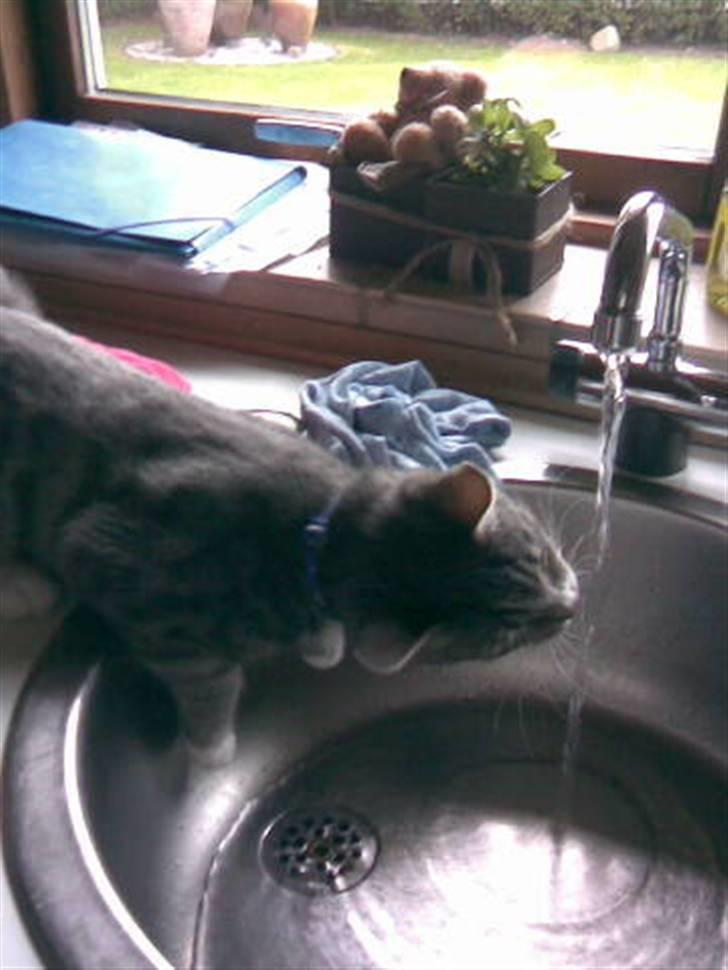 Huskat Klokke billede 2