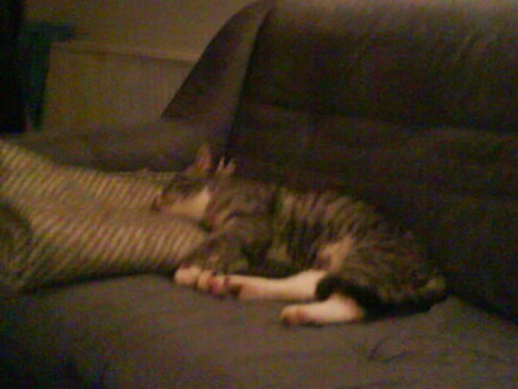 Huskat Klokke billede 3