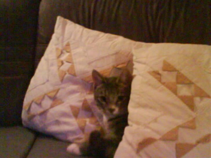 Huskat Klokke billede 4