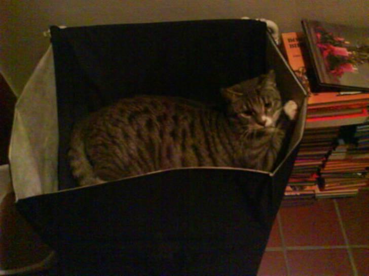 Huskat Klokke billede 6