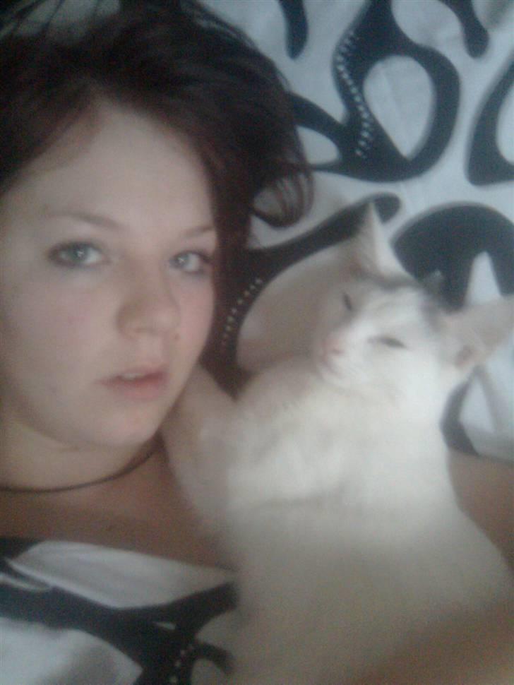 Huskat Misse billede 13