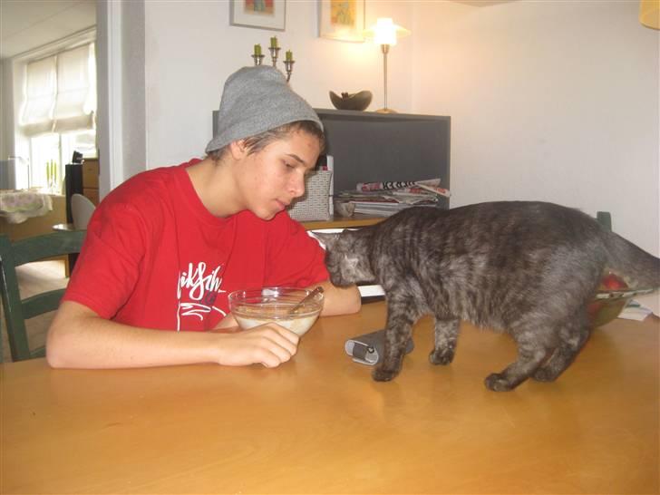 Huskat Cookie - "mhh, morgenmad" billede 6