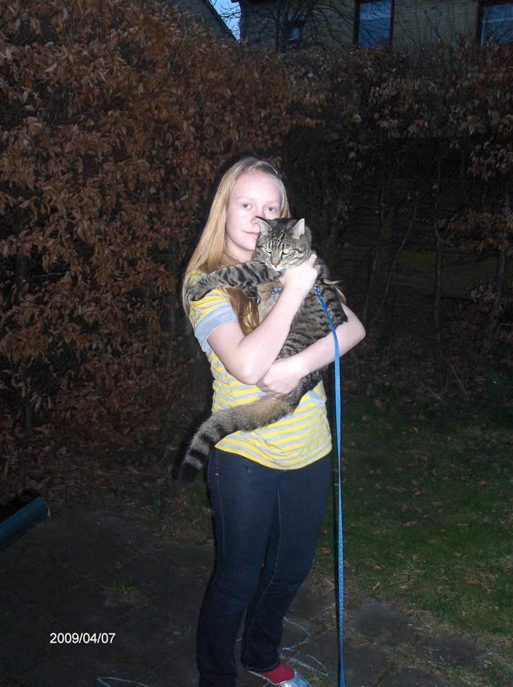 Huskat Zappa billede 11