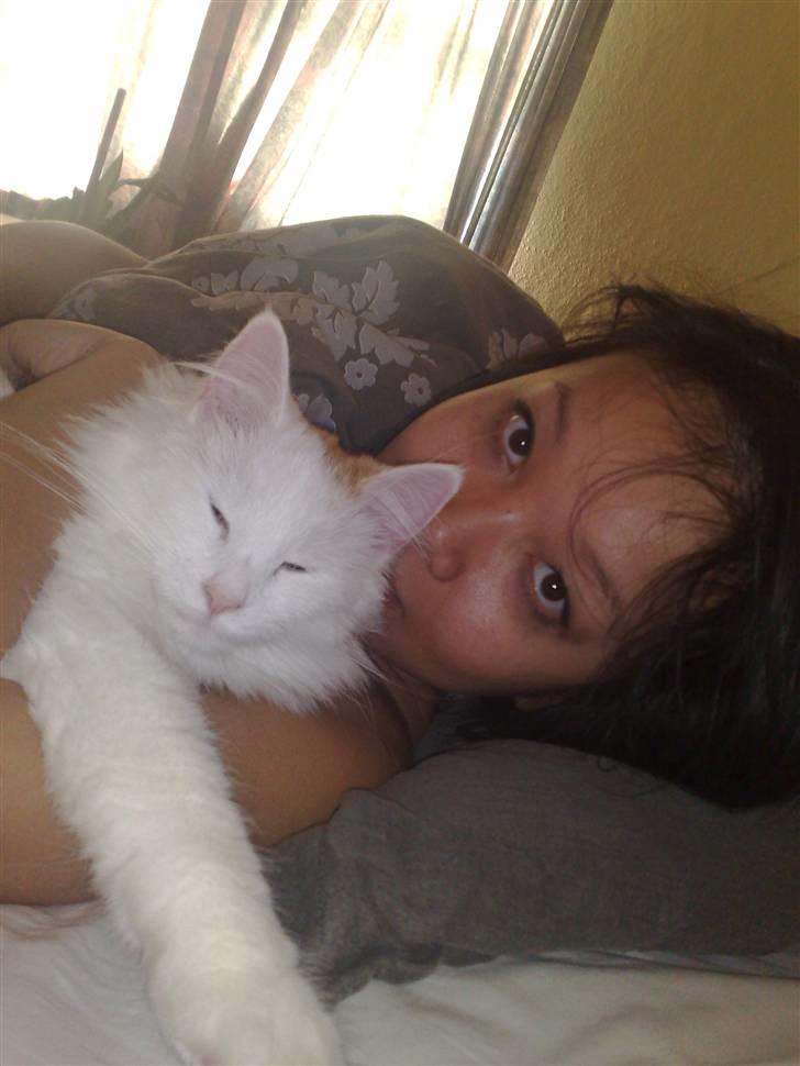 Blanding af racer Freja billede 2