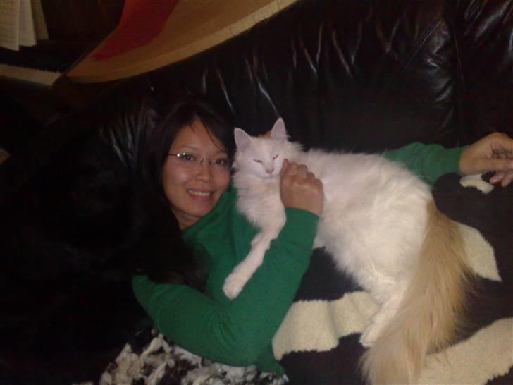 Blanding af racer Freja billede 3