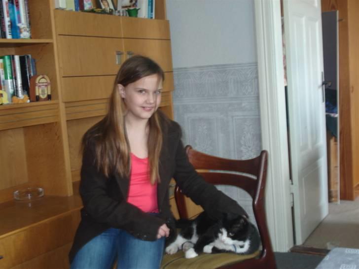 Blanding af racer Hans Chresten billede 2