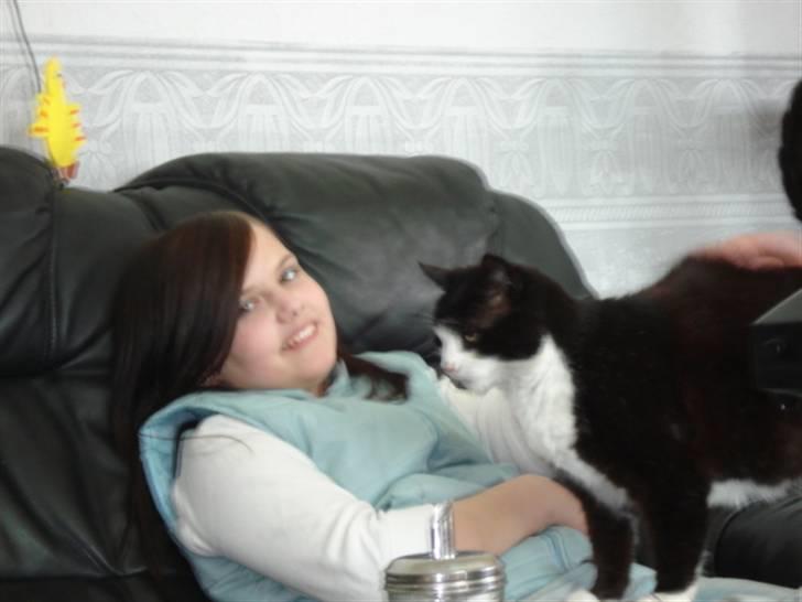 Blanding af racer Hans Chresten billede 3