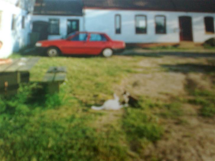 Blanding af racer Hans Chresten billede 7