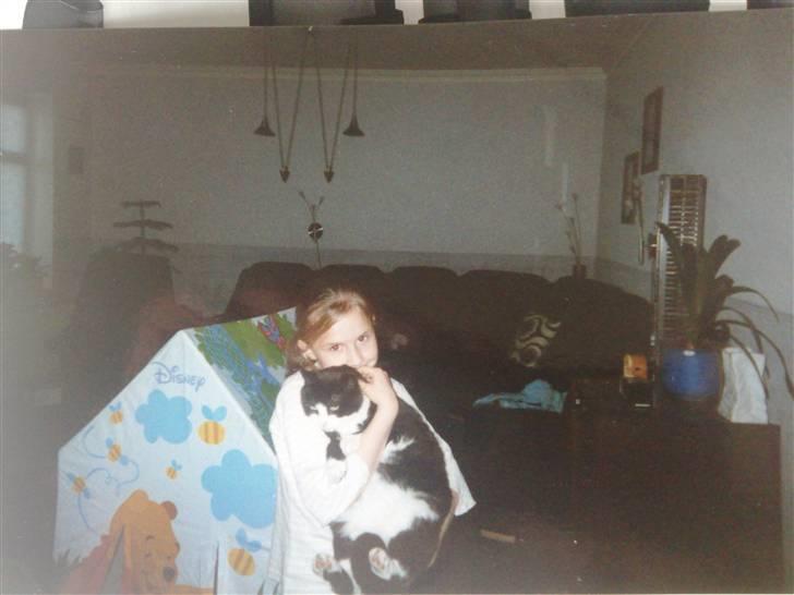 Blanding af racer Hans Chresten billede 9