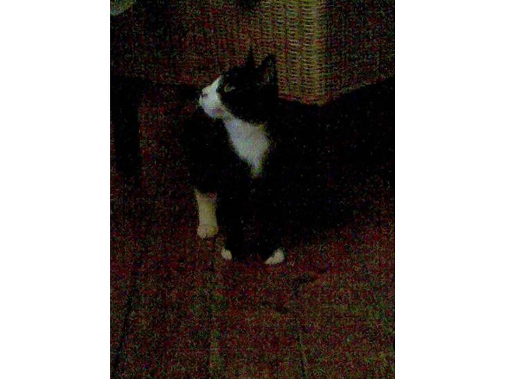 {{currentPhoto.altText}} billede {{currentPhoto.number}}