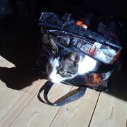 Blanding af racer Balue