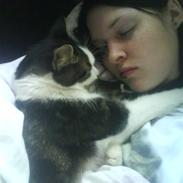 Blanding af racer Balue