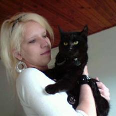 Blanding af racer Tyksak