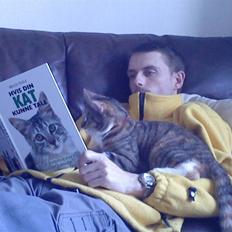 Blanding af racer Tiger *RIP*